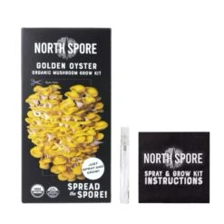 Organic Golden Oyster ‘Spray & Grow’ Mushroom Growing Kit -Eds Plant Shop organic golden oyster spray grow mushroom growing kit 560534