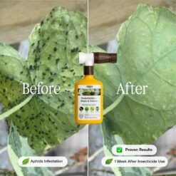 Organic Insecticide For Rose & Flower -Eds Plant Shop organic insecticide for rose flower 6381514