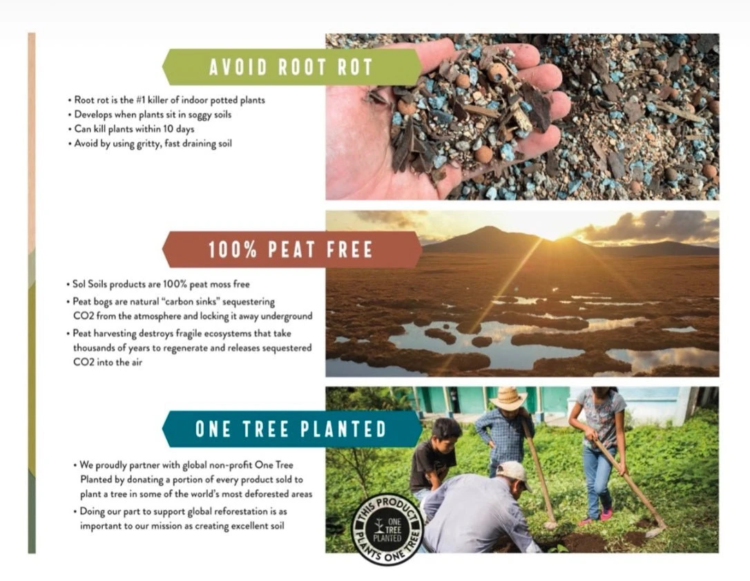 Original Sol Soil Topper – Decorative & Functional Rock Blend For Plants 10 Original Sol Soil Topper – Decorative & Functional Rock Blend For Plants - Image 8