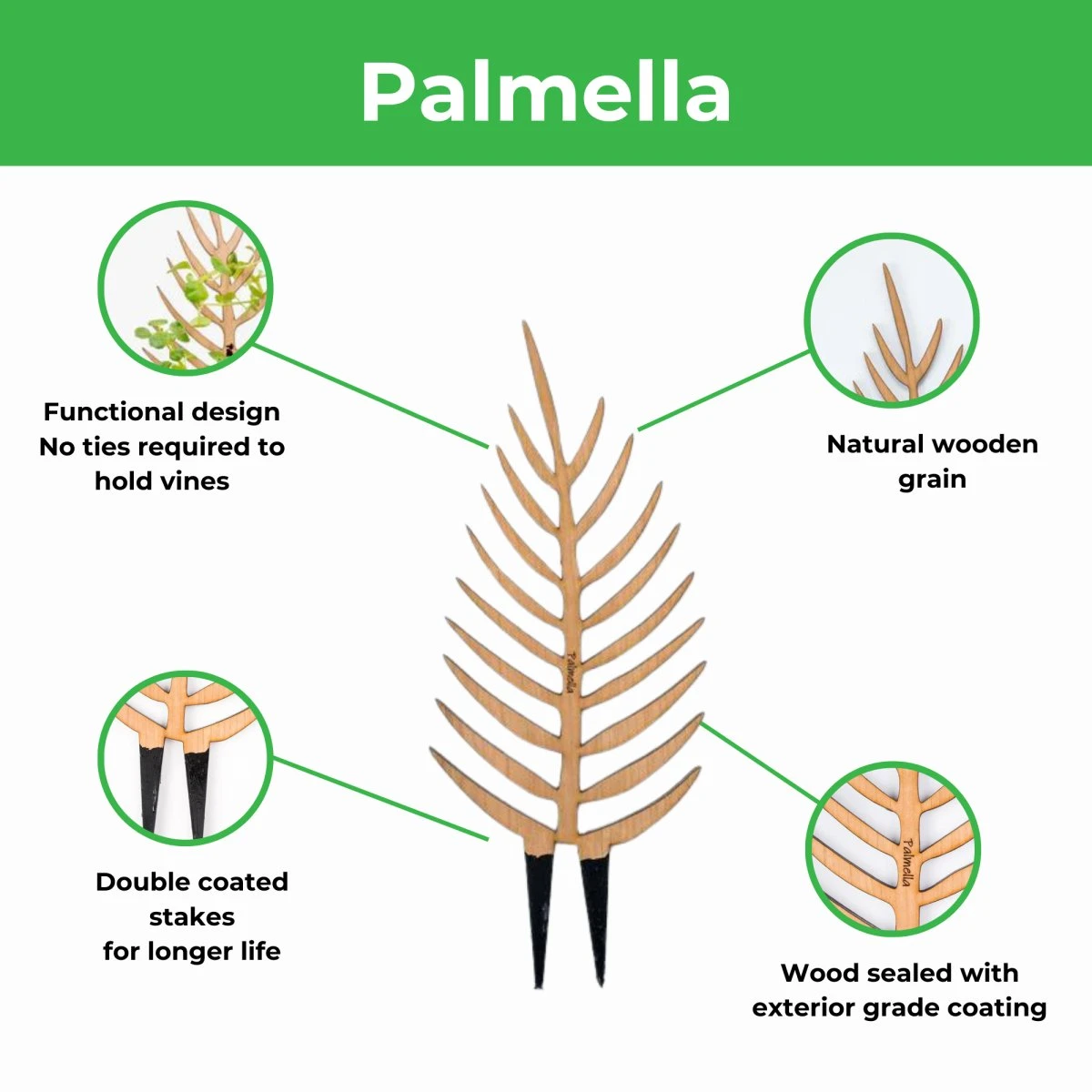 Palmella - Plant Support & Trellis 7 Palmella - Plant Support & Trellis - Image 5
