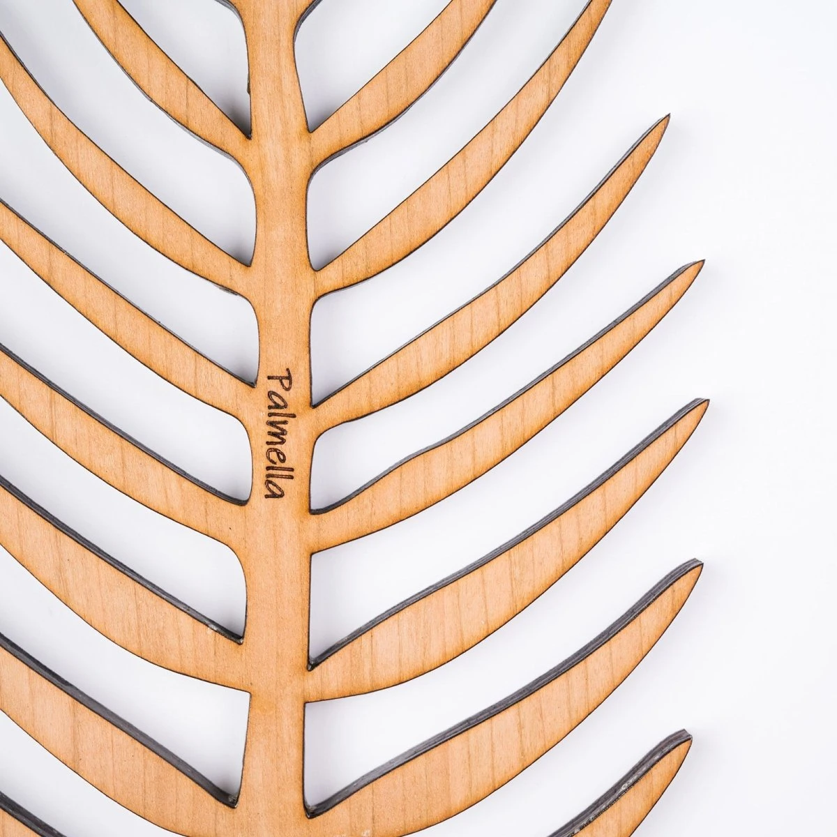 Palmella - Plant Support & Trellis 10 Palmella - Plant Support & Trellis - Image 8