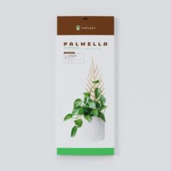 Palmella - Plant Support & Trellis 18 Palmella - Plant Support & Trellis -Eds Plant Shop palmella plant support trellis 990964