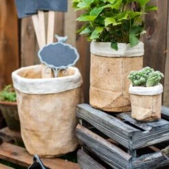Paper Bag Style Concrete Garden Planter With Drainage – 3 Sizes -Eds Plant Shop paper bag style concrete garden planter with drainage 3 sizes 329855