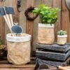 Paper Bag Style Concrete Garden Planter With Drainage – 3 Sizes -Eds Plant Shop paper bag style concrete garden planter with drainage 3 sizes 699877