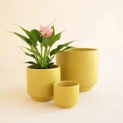 Parker Planter Pot | Palm Speckle -Eds Plant Shop parker planter pot palm speckle 731341