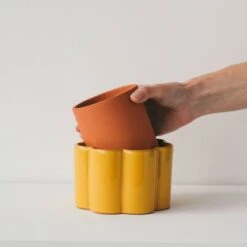 Paula Self Watering Planter Pot - Mustard Yellow 10 Paula Self Watering Planter Pot - Mustard Yellow -Eds Plant Shop paula self watering planter pot mustard yellow 195026