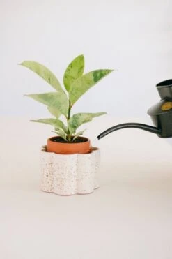 Paula Self-Watering Planter Pot – Speckled White -Eds Plant Shop paula self watering planter pot speckled white 2768495