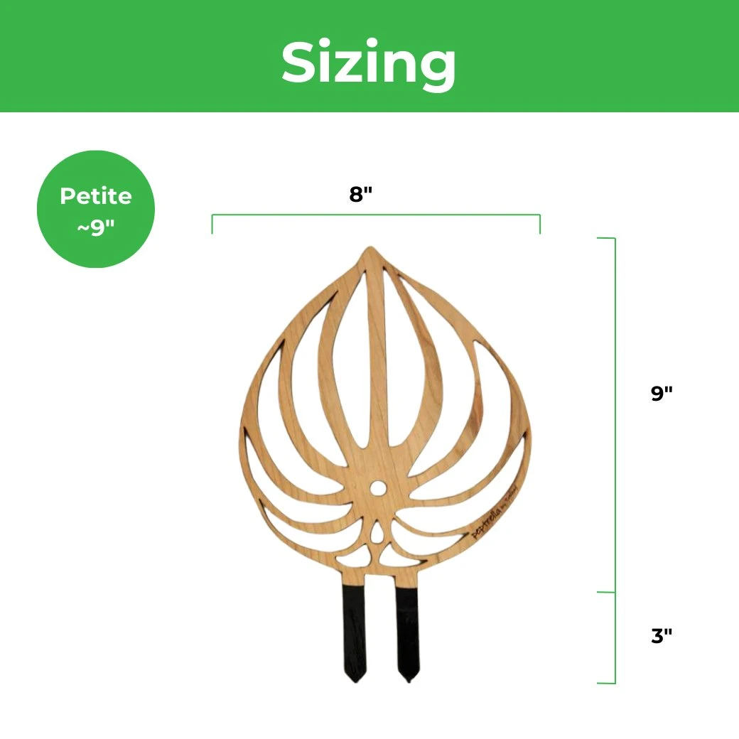 Peptrella - Peperomia Inspired Plant Trellis 7 Peptrella - Peperomia Inspired Plant Trellis - Image 5