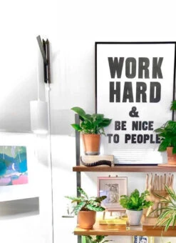 Pinocchio - Adjustable Wall Mount - Various Colors Available -Eds Plant Shop pinocchio adjustable wall mount various colors available 555768