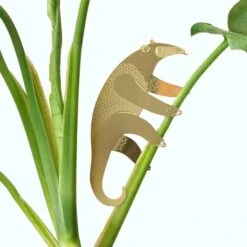 Plant Animal - Anteater -Eds Plant Shop plant animal anteater 843858