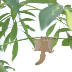 Plant Animal - Flying Squirrel -Eds Plant Shop plant animal flying squirrel 105306