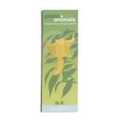 Plant Animal - Flying Squirrel -Eds Plant Shop plant animal flying squirrel 488405