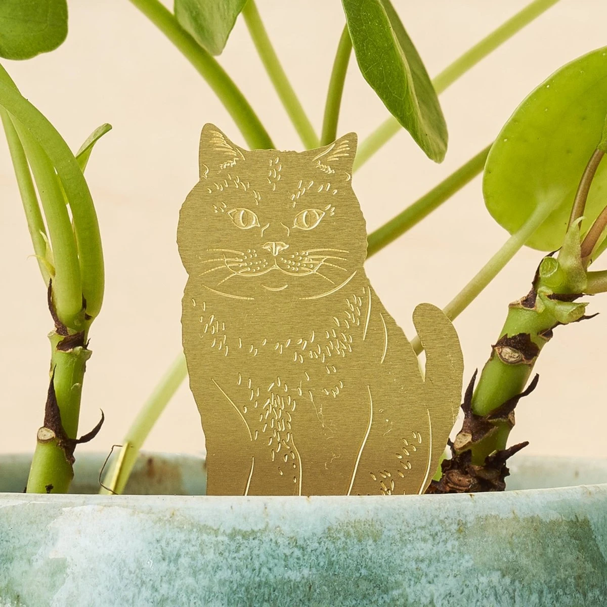 Plant Animal- Plant Decor- Cat 3 Plant Animal- Plant Decor- Cat