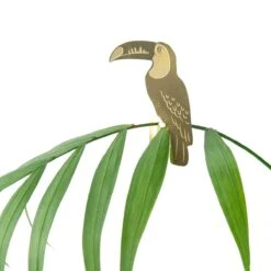 Plant Animal - Toucan -Eds Plant Shop plant animal toucan 266978