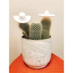 Plant Hats -Eds Plant Shop plant hats 690448