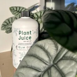 Plant Juice - The Best Houseplant Fertilizer For Happy, Hungry Plants -Eds Plant Shop plant juice 399201