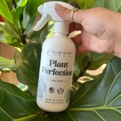 Plant Perfection - Leaf Shine For Houseplants