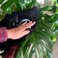 Plant Perfection - Leaf Shine For Houseplants -Eds Plant Shop plant perfection leaf shine for houseplants 666807