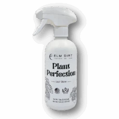 Plant Perfection - Leaf Shine For Houseplants -Eds Plant Shop plant perfection leaf shine for houseplants 774418