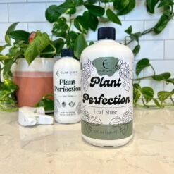 Plant Perfection - Leaf Shine For Houseplants -Eds Plant Shop plant perfection leaf shine for houseplants 915606