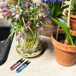 Plant Snips -Eds Plant Shop plant snips 340310