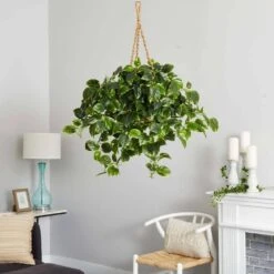 36-in Pothos Hanging Basket UV Resistant - Indoor/Outdoor (36″H × 30″W) -Eds Plant Shop pothos hanging basket uv resistant indooroutdoor 36h 30w 4428335