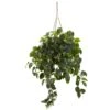 36-in Pothos Hanging Basket UV Resistant - Indoor/Outdoor (36″H × 30″W) 1 36-in Pothos Hanging Basket UV Resistant - Indoor/Outdoor (36″H × 30″W) -Eds Plant Shop pothos hanging basket uv resistant indooroutdoor 36h 30w 7618433