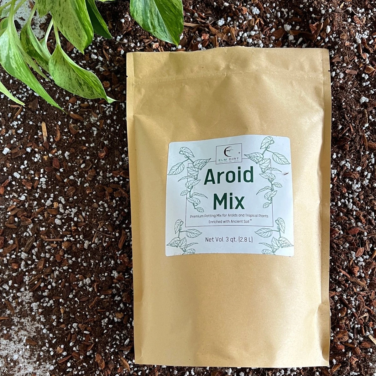 Premium Aroid Potting Mix – Nutrient-Rich Soil For Healthy Growth 4 Premium Aroid Potting Mix – Nutrient-Rich Soil For Healthy Growth - Image 2