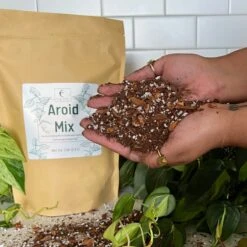 Premium Aroid Potting Mix – Nutrient-Rich Soil For Healthy Growth 11 Premium Aroid Potting Mix – Nutrient-Rich Soil For Healthy Growth -Eds Plant Shop premium aroid potting mix nutrient rich soil for healthy growth 414218
