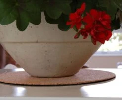 Premium Eco Cork Mat – 5 Sizes | USA-Made Renewable Cork -Eds Plant Shop premium eco cork mat 5 sizes usa made renewable cork 4172047