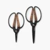 Barebones Premium Garden Scissors – Style Meets Performance -Eds Plant Shop premium garden scissors 634981