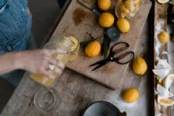 Barebones Premium Garden Scissors – Style Meets Performance -Eds Plant Shop premium garden scissors 639116