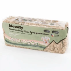 Premium Long Fiber Sphagnum Moss – Orchid & Kokedama Substrate (150g) -Eds Plant Shop premium long fiber sphagnum moss orchid kokedama substrate 150g 4348538