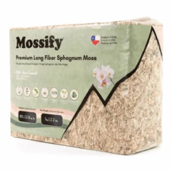 Premium Long Fiber Sphagnum Moss – Orchid & Kokedama Substrate (150g) -Eds Plant Shop premium long fiber sphagnum moss orchid kokedama substrate 150g 5129527