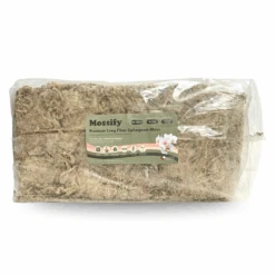 Premium Long Fiber Sphagnum Moss – Orchid & Kokedama Substrate (150g) -Eds Plant Shop premium long fiber sphagnum moss orchid kokedama substrate 150g 7410624