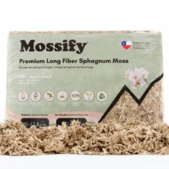 Premium Long Fiber Sphagnum Moss – Orchid & Kokedama Substrate (150g) -Eds Plant Shop premium long fiber sphagnum moss orchid kokedama substrate 150g 8741943