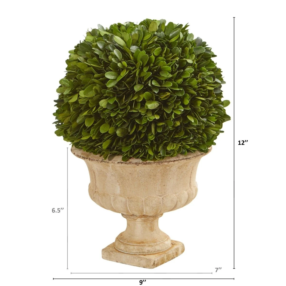 12-in Preserved Boxwood Ball In Decorative Urn 4 12-in Preserved Boxwood Ball In Decorative Urn - Image 2