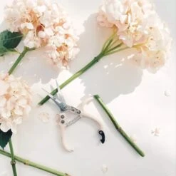 Pruning Shears - Various Colors Available -Eds Plant Shop pruning shears various colors available 305260