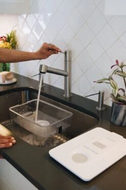 Pure Dispenser | Fluoride & PFAS-Free Water Solution -Eds Plant Shop pure dispenser fluoride pfas free water solution 400634