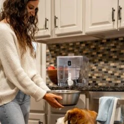 Pure Dispenser | Fluoride & PFAS-Free Water Solution -Eds Plant Shop pure dispenser fluoride pfas free water solution 729422