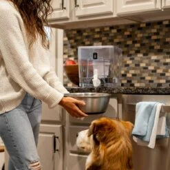 Pure Dispenser | Fluoride & PFAS-Free Water Solution -Eds Plant Shop pure dispenser fluoride pfas free water solution 951230