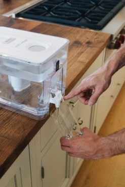 Pure Replacement Filter | Removes Fluoride & PFAS -Eds Plant Shop pure replacement filter removes fluoride pfas 419486