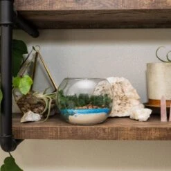 Resin Terrarium Kit 15 Resin Terrarium Kit -Eds Plant Shop resin terrarium kit 255596