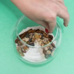 Resin Terrarium Kit 12 Resin Terrarium Kit -Eds Plant Shop resin terrarium kit 449915