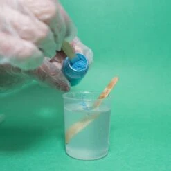 Resin Terrarium Kit 11 Resin Terrarium Kit -Eds Plant Shop resin terrarium kit 573175