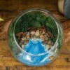 Resin Terrarium Kit -Eds Plant Shop resin terrarium kit 648716