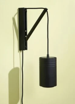 Rise & Shine Bundle | LED Growlight With Wall Mount For Plants -Eds Plant Shop rise shine bundle led growlight with wall mount for plants 589500