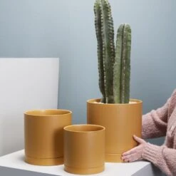 Romey Planter Pot With Water Saucer 4.75 Inch -Eds Plant Shop romey planter pot with water saucer 475 inch 956587