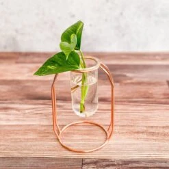 Rose Gold Propagation Station & Vase -Eds Plant Shop rose gold propagation station vase 103953