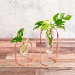 Rose Gold Propagation Station & Vase -Eds Plant Shop rose gold propagation station vase 489414
